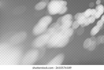 Abstract shadow overlay from foliage on a transparent background.