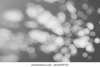 Abstract shadow overlay from foliage on a transparent background.
