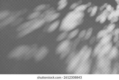 Abstract shadow overlay from foliage on a transparent background.