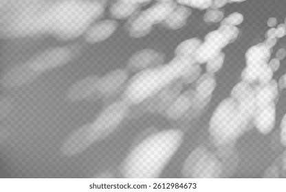 Abstract shadow overlay from foliage on a transparent background.
