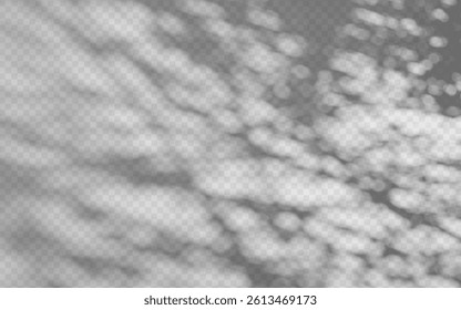 Abstract shadow overlay from foliage on a transparent background.
