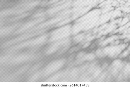 Abstract shadow overlay from foliage on a transparent background.