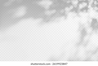 Abstract shadow overlay from foliage on a transparent background.