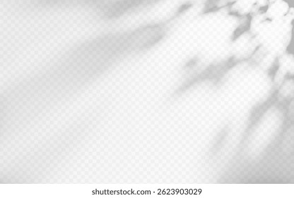 Abstract shadow overlay from foliage on a transparent background.