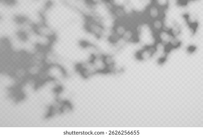 Ombre d'Abstrait superposée à partir de feuillage sur fond transparent.