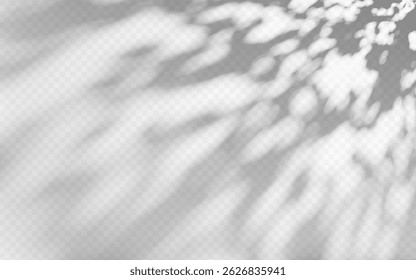 Ombre d'Abstrait superposée à partir de feuillage sur fond transparent.