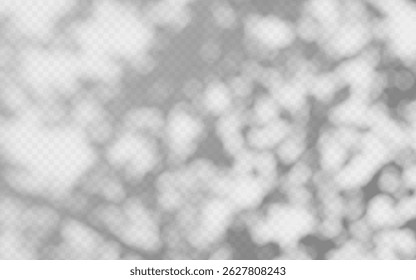 Ombre d'Abstrait superposée à partir de feuillage sur fond transparent.