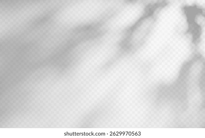 Sobreposição de sombra abstrata da folhagem em um fundo transparente.