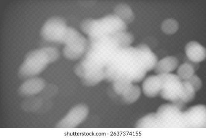 Abstract shadow overlay from foliage on a transparent background.