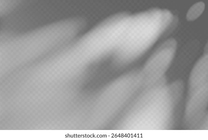 Ombre d'Abstrait superposée à partir de feuillage sur fond transparent.