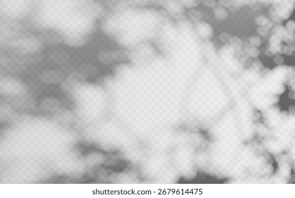 Sobreposição de sombra abstrata da folhagem em um fundo transparente.