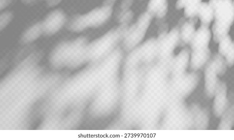 Abstract shadow overlay from foliage on a transparent background. Gobo tree vector effect