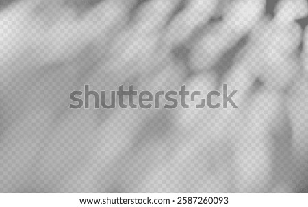 Abstract shadow overlay from foliage on a transparent background.