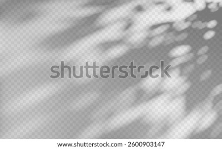 Abstract shadow overlay from foliage on a transparent background.