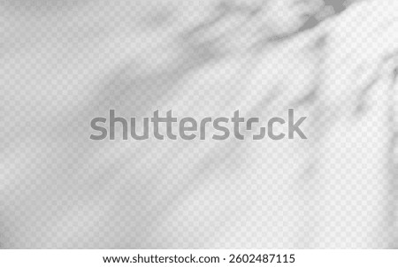 Abstract shadow overlay from foliage on a transparent background.