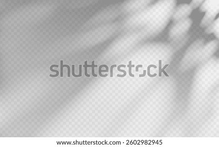Abstract shadow overlay from foliage on a transparent background.