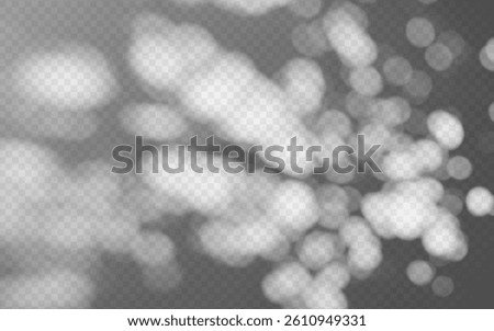 Abstract shadow overlay from foliage on a transparent background.