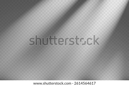 Abstract shadow overlay from foliage on a transparent background.