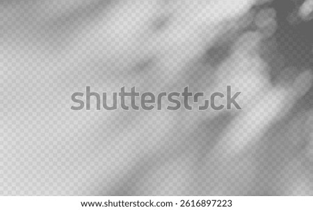 Abstract shadow overlay from foliage on a transparent background.