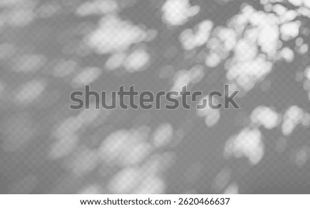 Abstract shadow overlay from foliage on a transparent background.