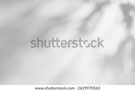 Abstract shadow overlay from foliage on a transparent background.