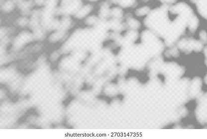 Sobreposição de sombra abstrata do ramo da árvore foliar em um fundo transparente.