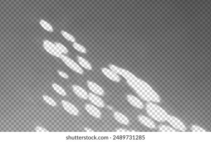 Abstract shadow overlay with natural light and sunbeams on the wall