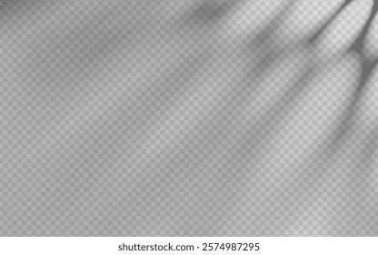 Abstract shadow overlay on a transparent background.