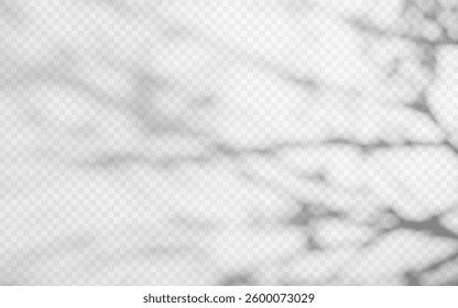 Abstract shadow overlay from tree branch on a transparent background.