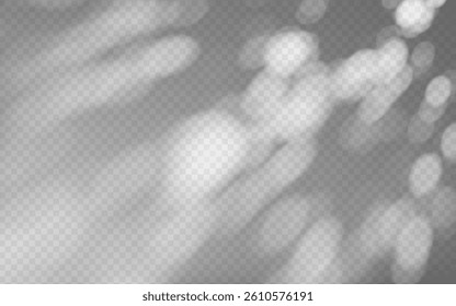 Abstract shadow overlay from tree branch on a transparent background.