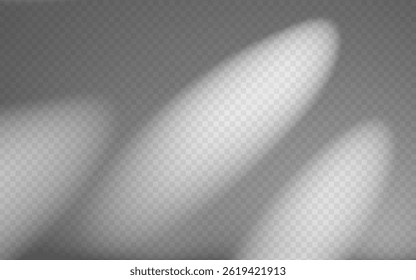 Abstract shadow overlay from tree branch on a transparent background.