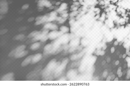 Abstract shadow overlay from tree branch on a transparent background.