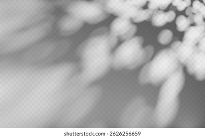 Superposition d'ombre d'Abstrait à partir d'une branche d'arbre sur fond transparent.