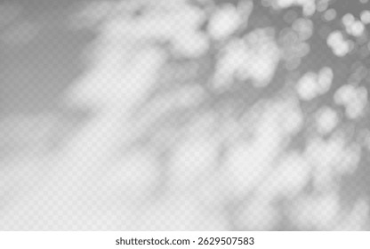 Superposition d'ombre d'Abstrait à partir d'une branche d'arbre sur fond transparent.