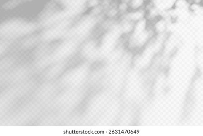 Abstract shadow overlay from tree branch on a transparent background.