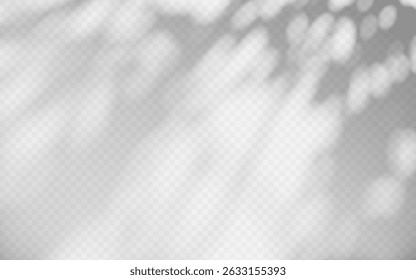Superposition d'ombre d'Abstrait à partir d'une branche d'arbre sur fond transparent.