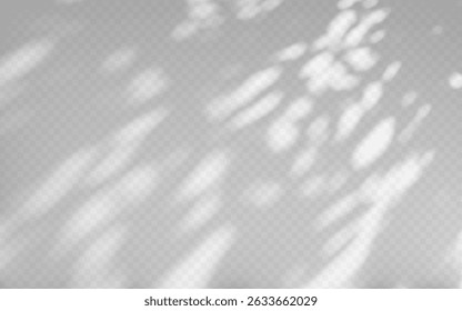 Superposition d'ombre d'Abstrait à partir d'une branche d'arbre sur fond transparent.