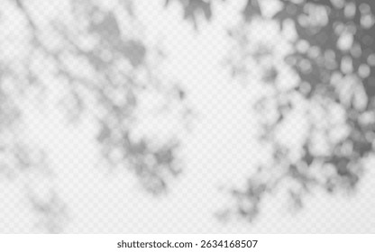 Abstract shadow overlay from tree branch on a transparent background.