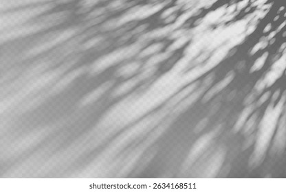 Superposition d'ombre d'Abstrait à partir d'une branche d'arbre sur fond transparent.