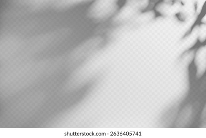 Superposition d'ombre d'Abstrait à partir d'une branche d'arbre sur fond transparent.