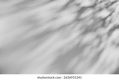 Superposition d'ombre d'Abstrait à partir d'une branche d'arbre sur fond transparent.