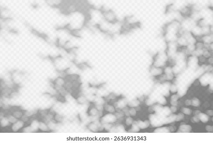 Abstract shadow overlay from tree branch on a transparent background.