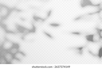 Abstract shadow overlay from tree branch on a transparent background.
