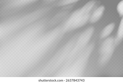 Abstract shadow overlay from tree branch on a transparent background.