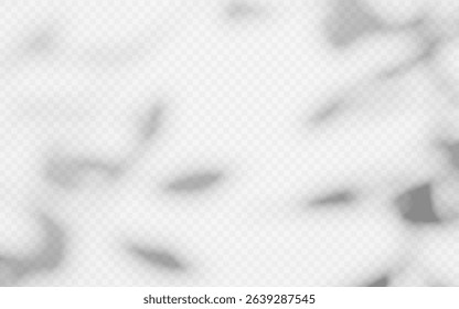 Abstract shadow overlay from tree branch on a transparent background.