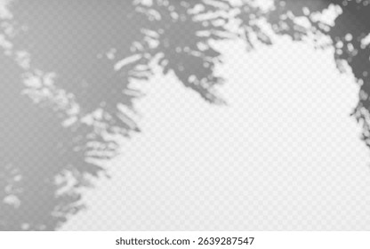 Abstract shadow overlay from tree branch on a transparent background.