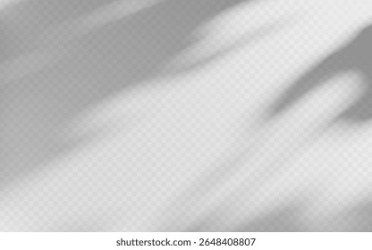 Abstract shadow overlay from tree branch on a transparent background.