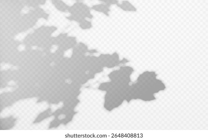 Abstract shadow overlay from tree branch on a transparent background.