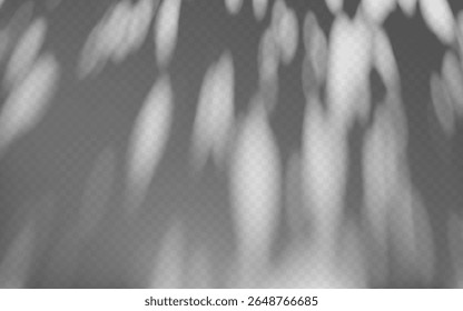 Abstract shadow overlay from tree branch on a transparent background.
