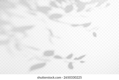Abstract shadow overlay from tree branch on a transparent background.